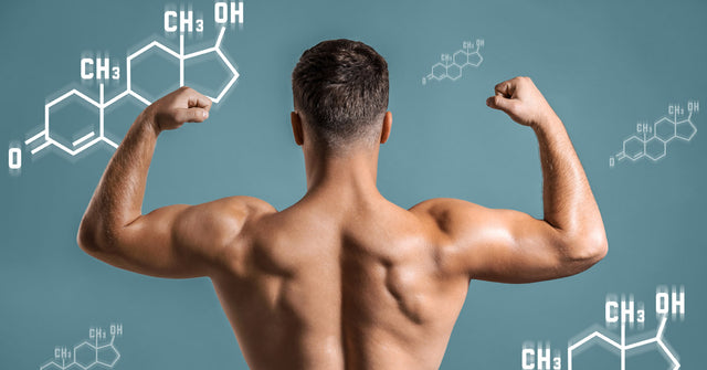 Male Hormone Cycle: Understanding Daily Testosterone Levels