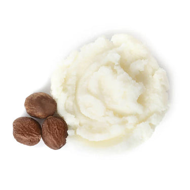 ingredients-zenogel-Shea-Butter